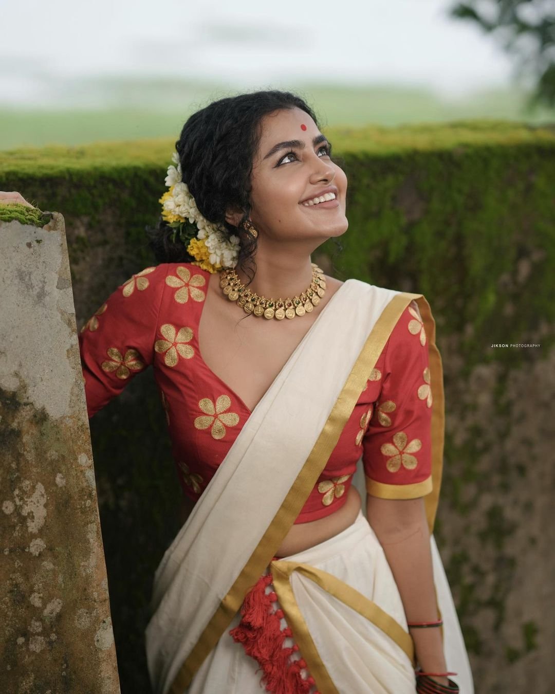 Anupama-Parameswaran-looks-elegant-in-saree-13